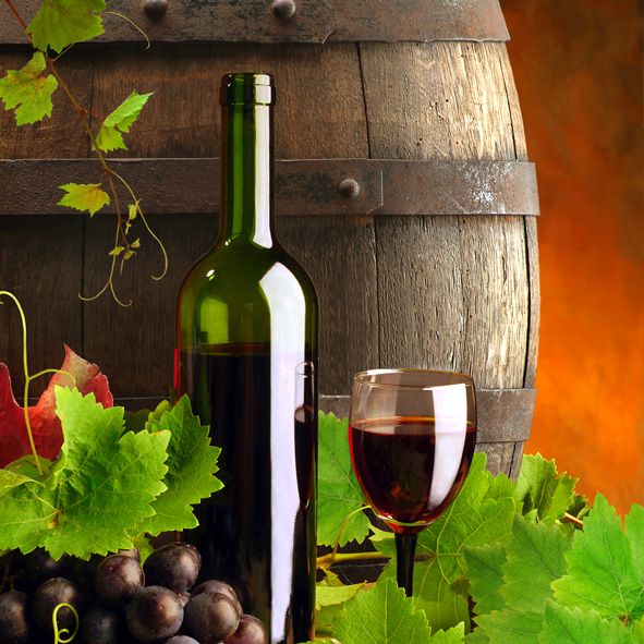 CIRCUITO DEL VINO